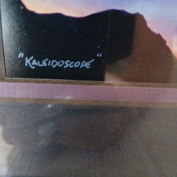 Todd Salat Signed Photography Alaska Auroral Norther Lights "Kaleidoscope" - Picture 4 of 5